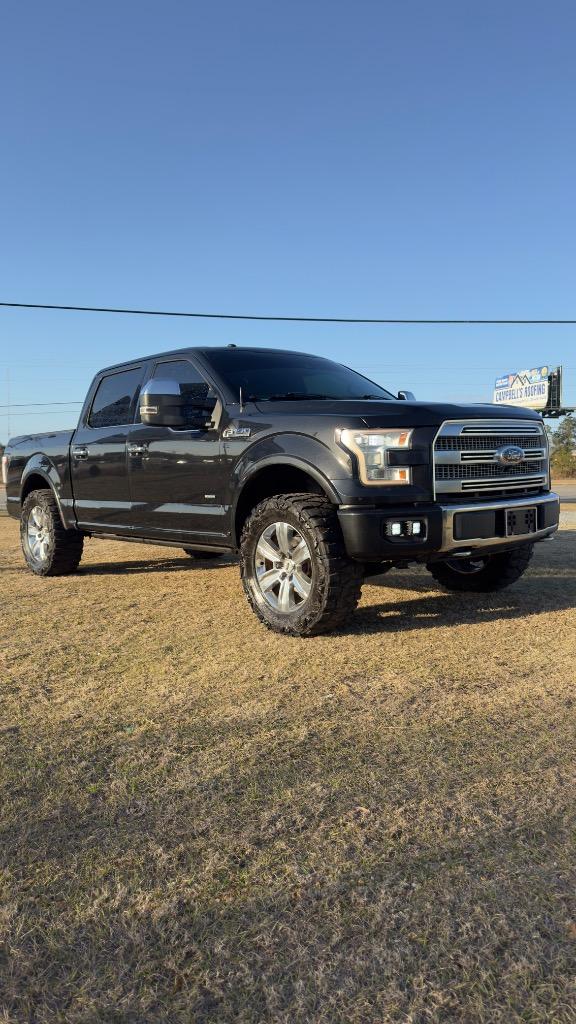 2015 Ford F-150 Platinum's photo